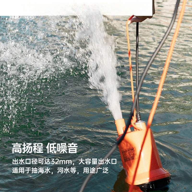 Marine bilge pump 12V24v DC su - Fishing Boat Bilge Pump 评论和价格