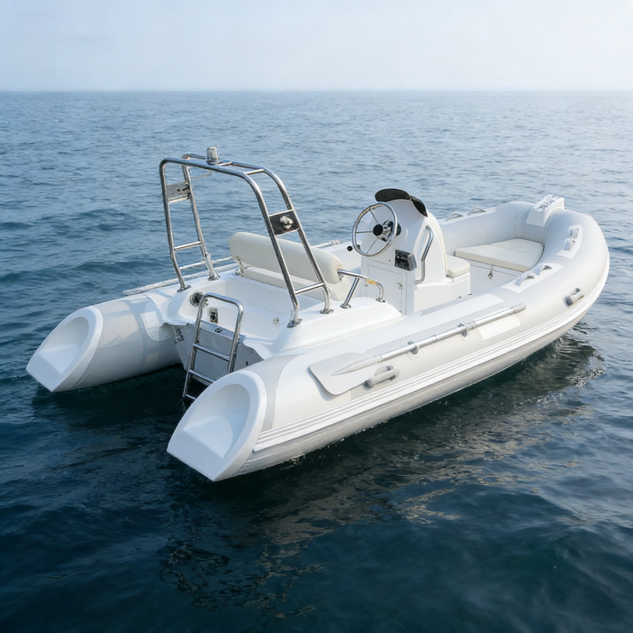 RIB Inflatable Boat Luxury Fib - Fishing Boat Fiberglass 评论和价格
